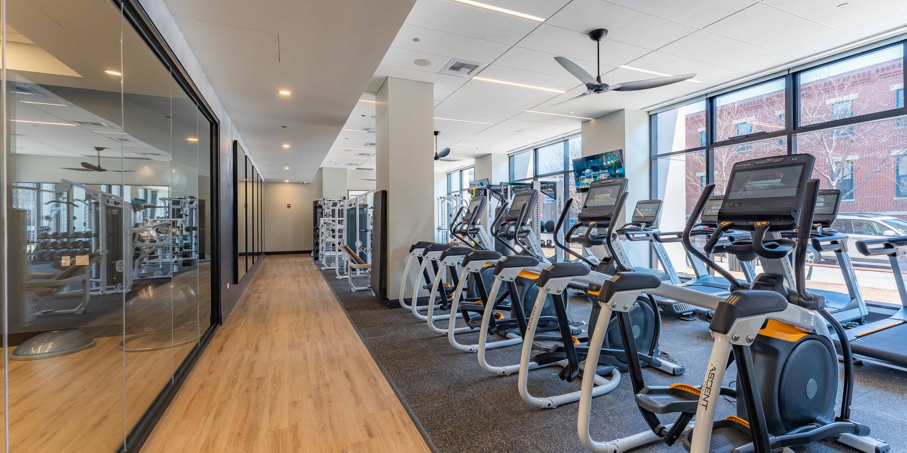 xingkong星空实xingkong星空健身