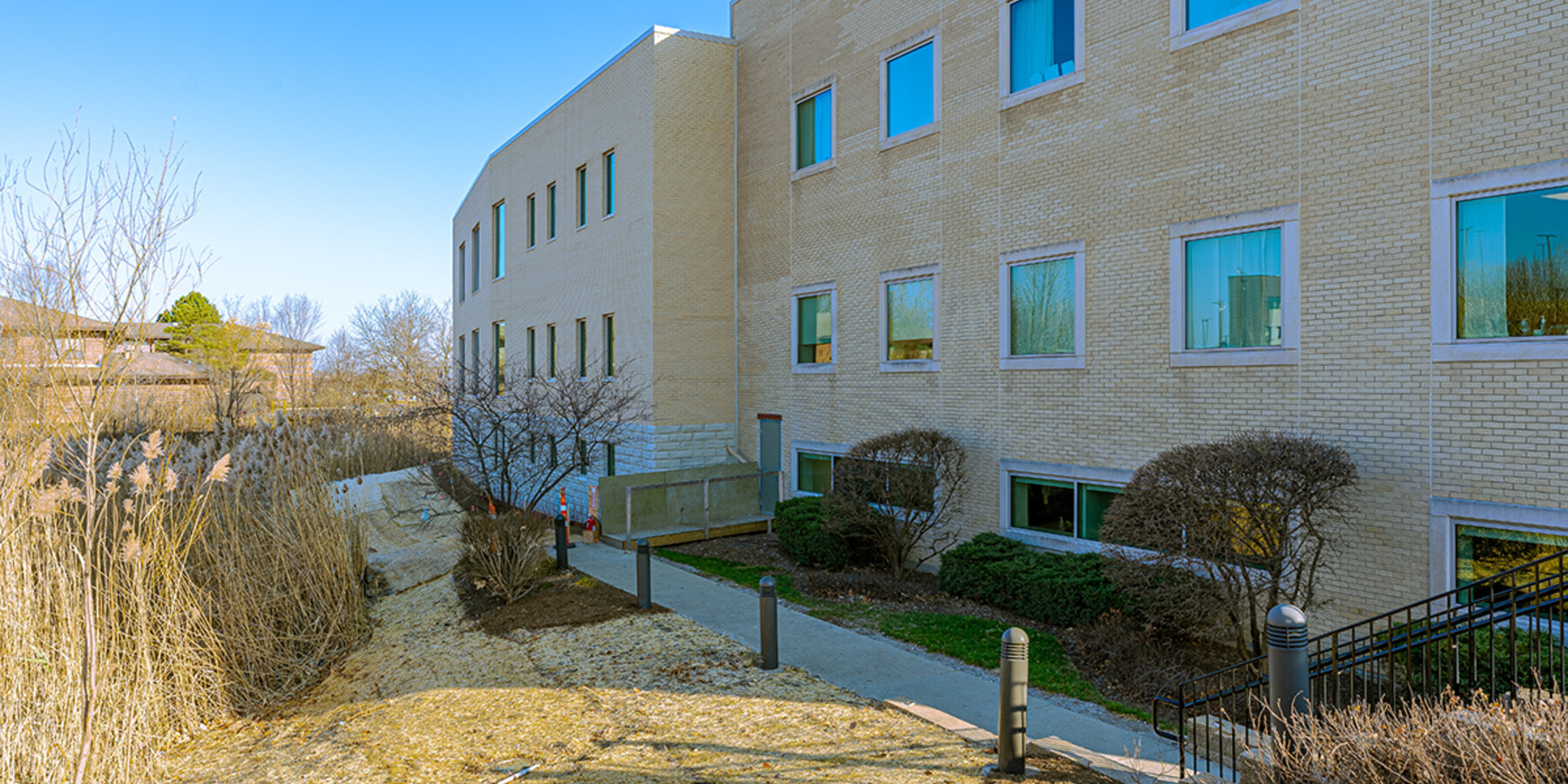 圣。亚历克修斯行为星空xk