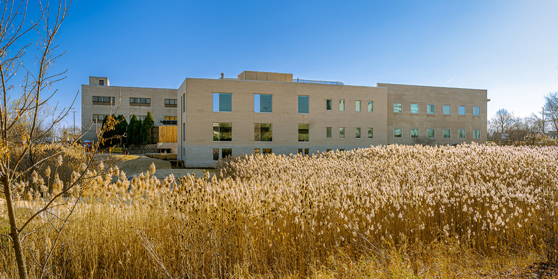 圣。亚历克修斯行为星空xk