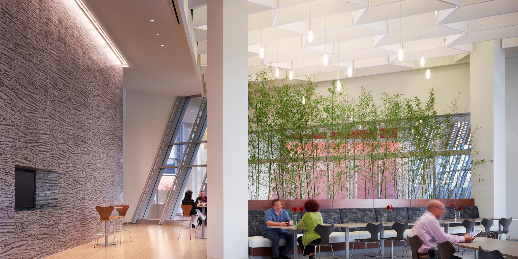 公司星空娱乐官方室建设 - 星空娱乐官方制药总部自助餐厅座位