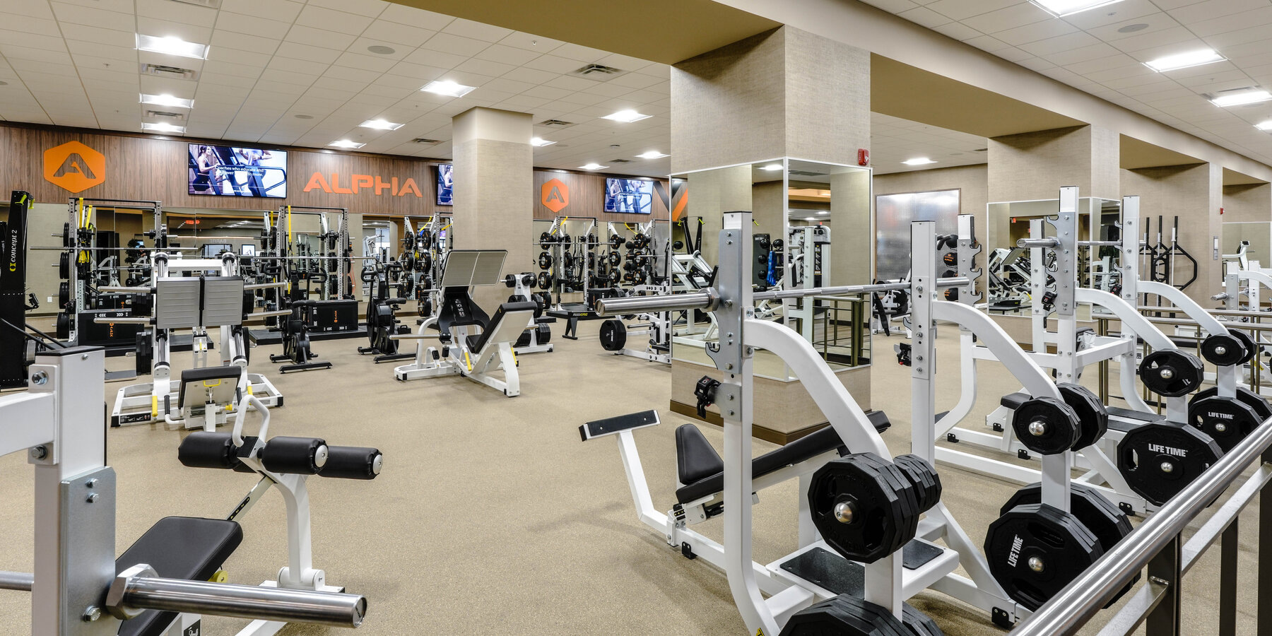 星空综合体育官网寿命