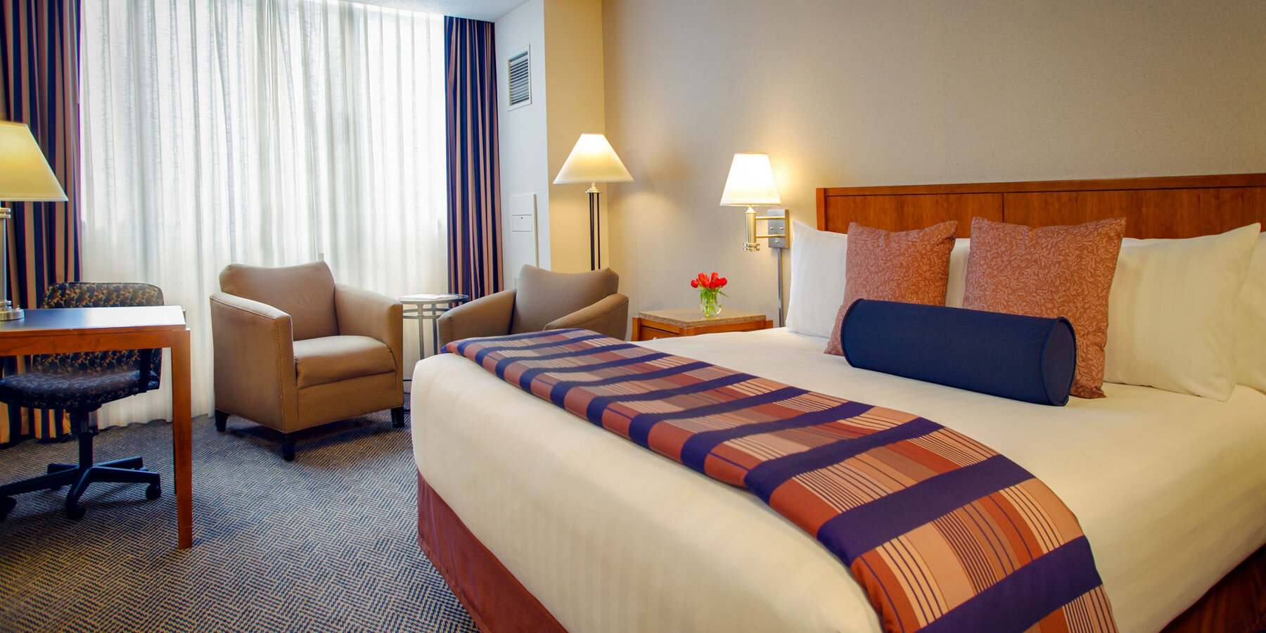 星空xk建设和装修 - 奥黑尔凯悦星空xk客房