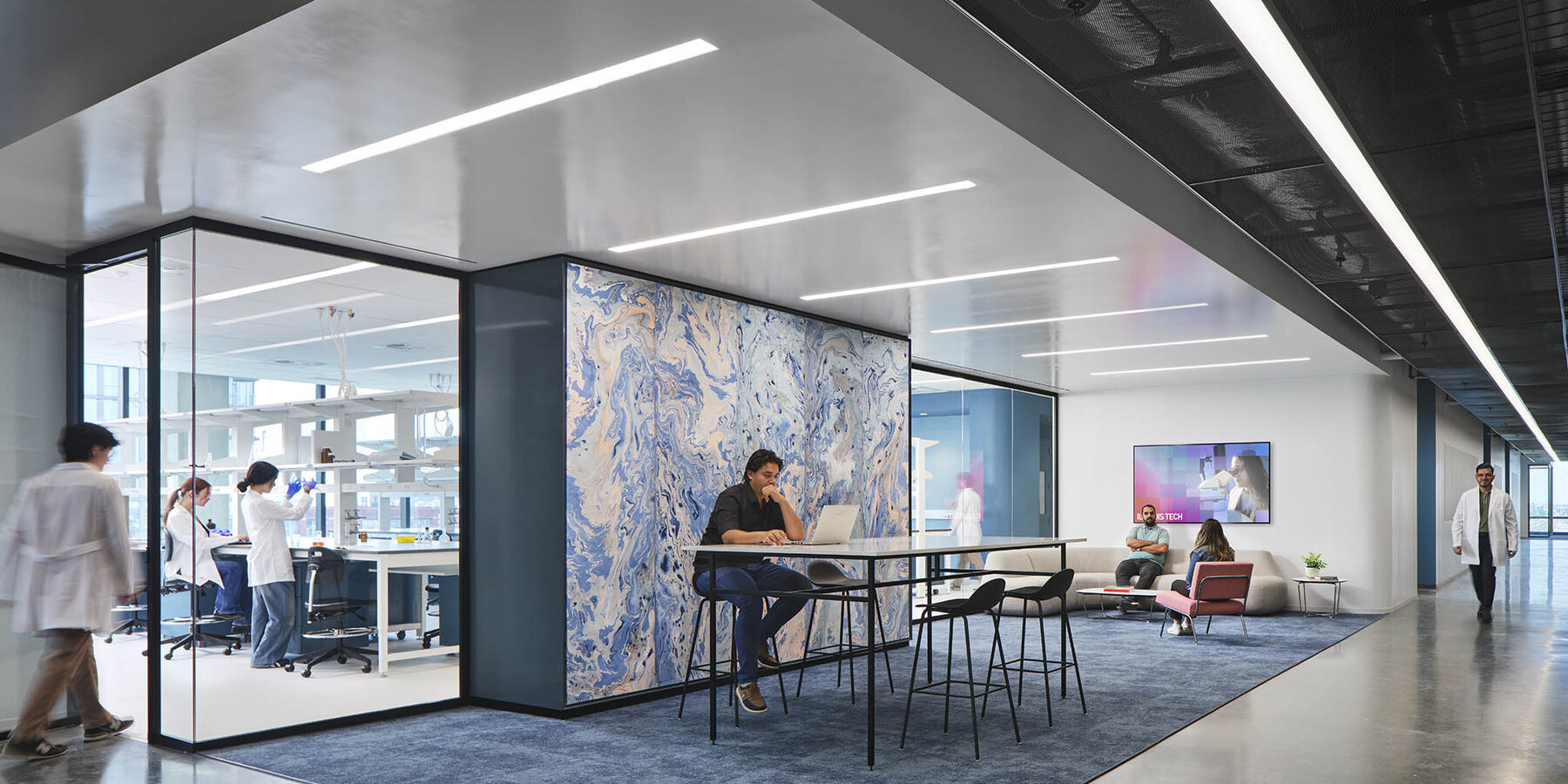 富尔顿实验室的 IIT