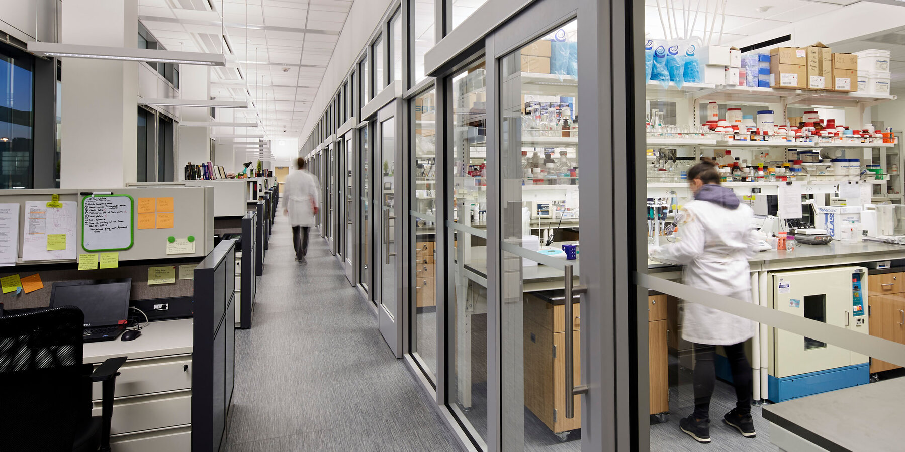 生命科学建设项目 - Loyola Chicago CTRE 带玻璃门的室内实验室空间