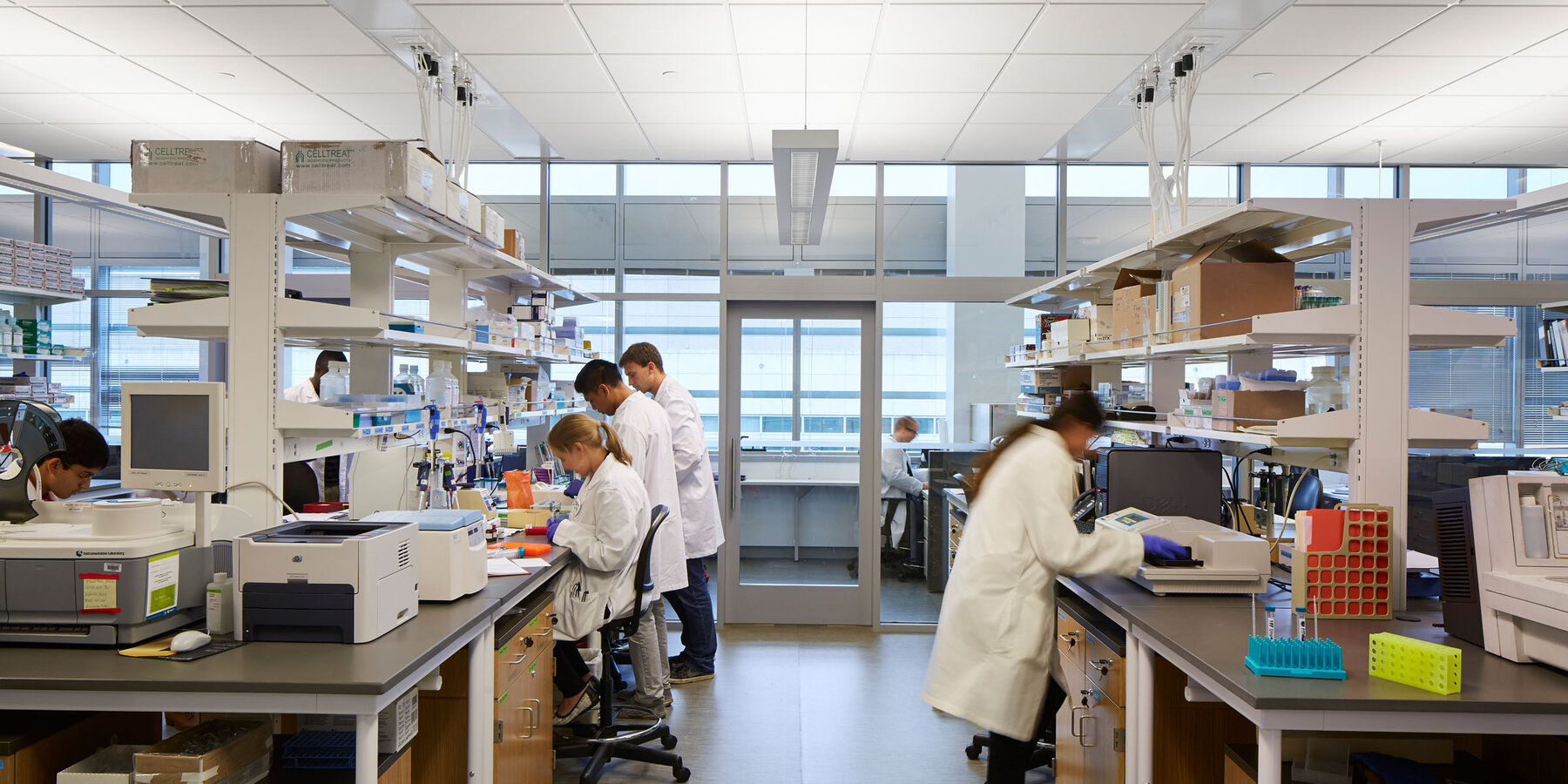 生命科学建设项目 - Loyola Chicago CTRE 内部实验室空间，配有袖珍玻璃门