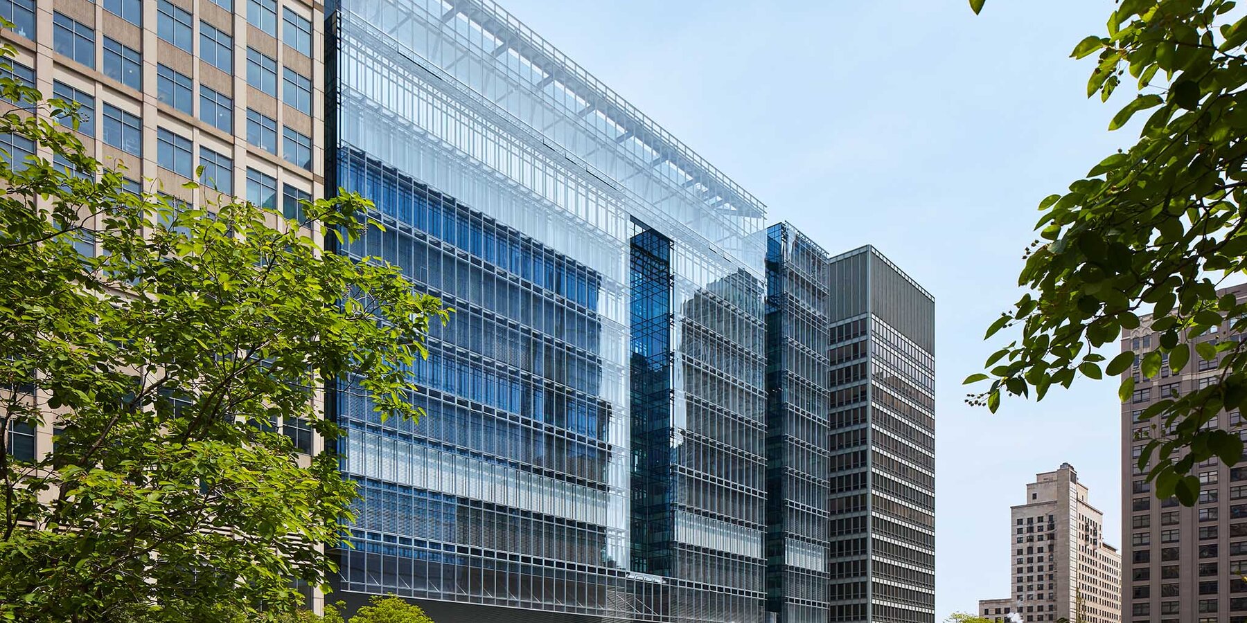 xingkong星空官方网站星空xingkong科学大学生物医学学院