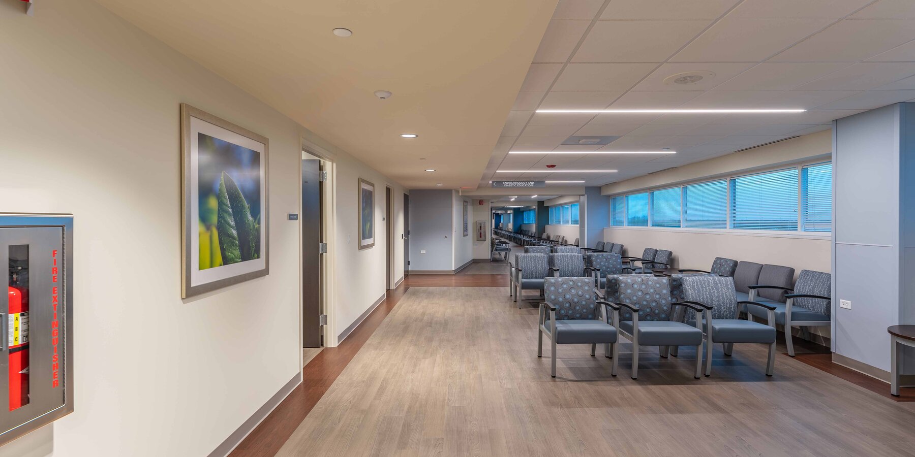 星空综合体育官网·科普利