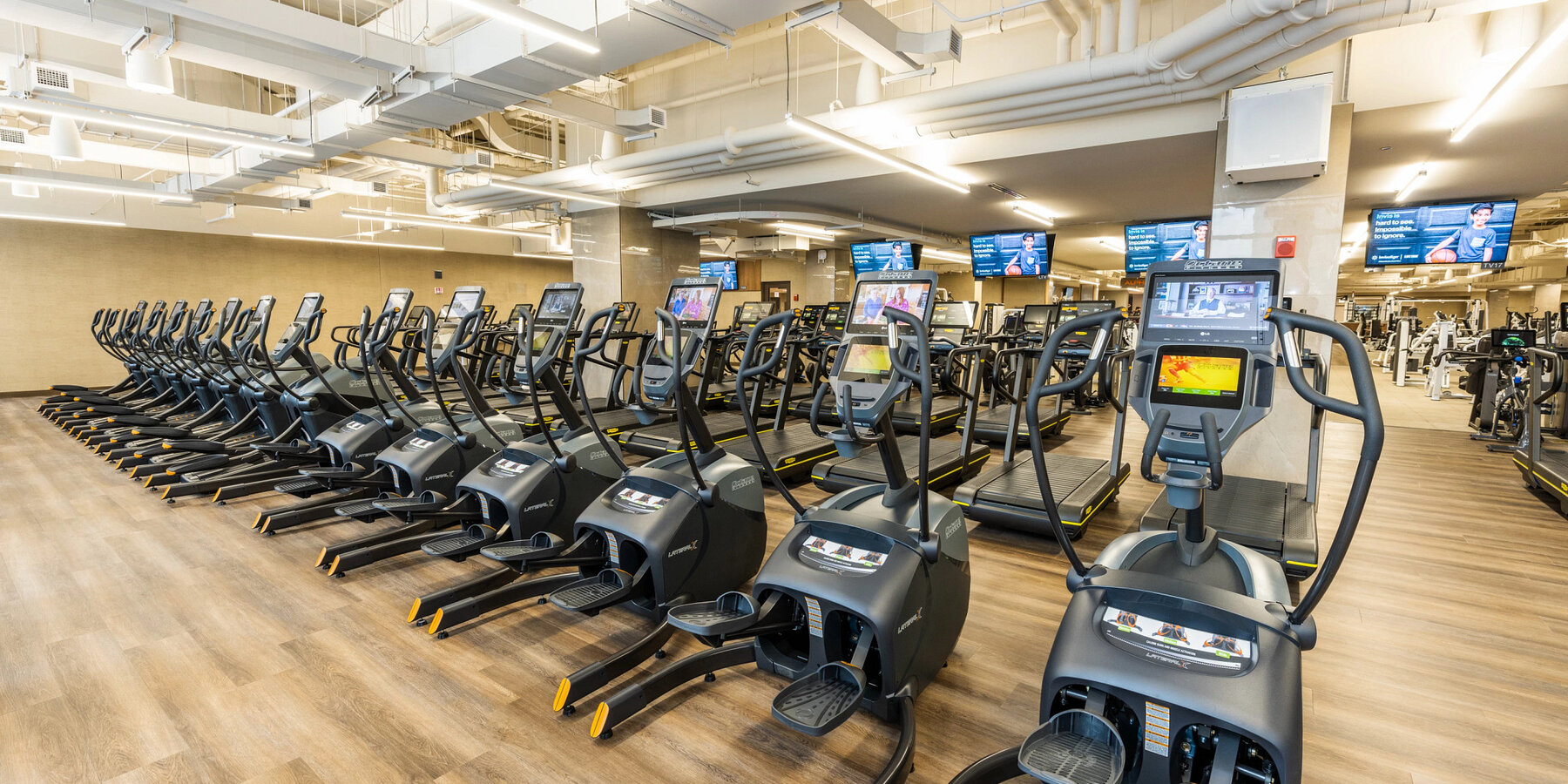 星空娱乐官方一号星空xingkong寿命