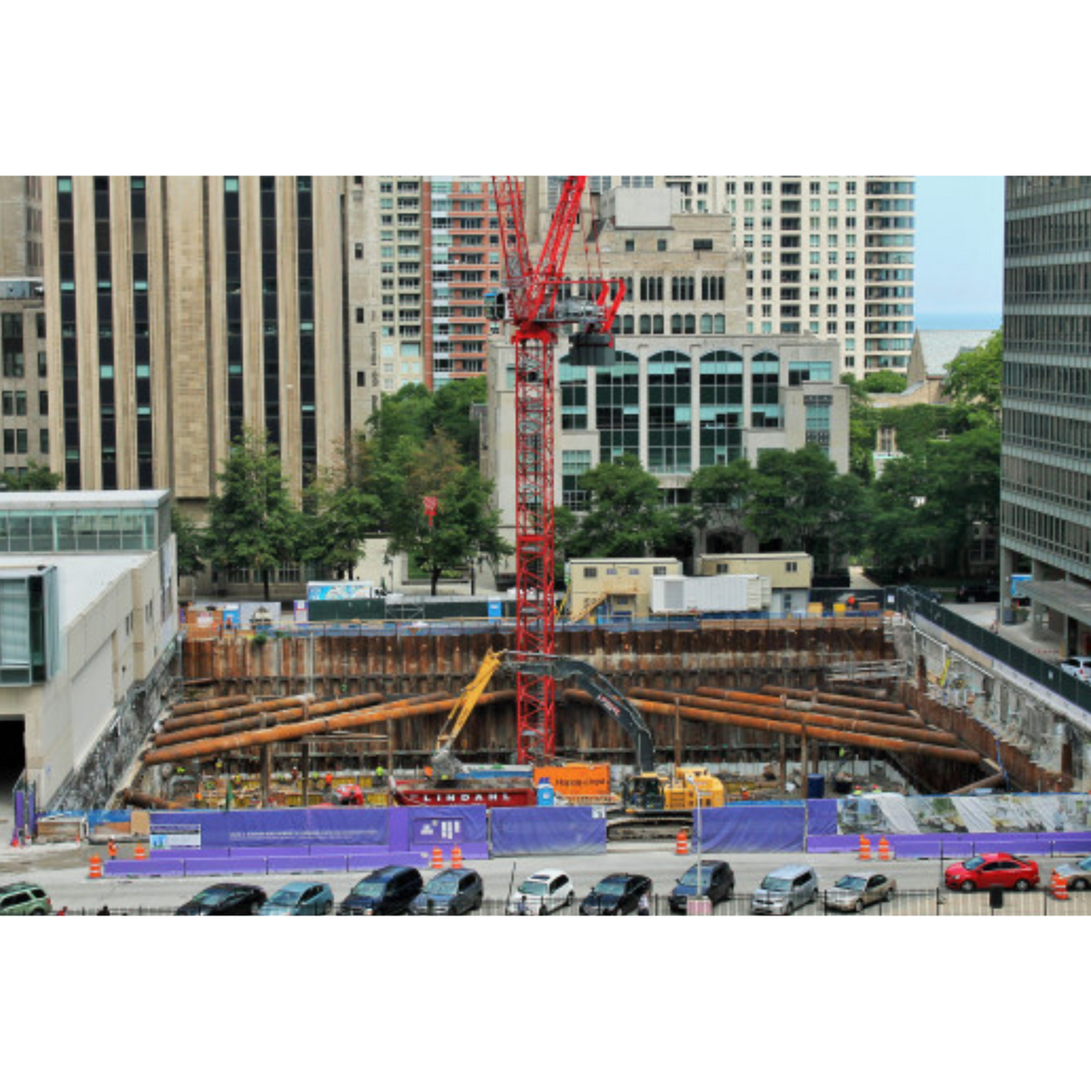 NU 辛普森·奎里